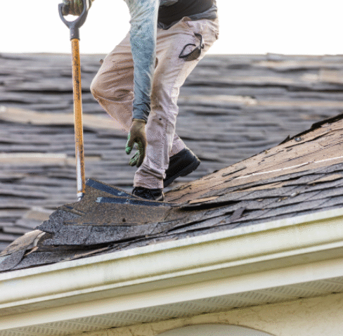 Site images (small) (6)